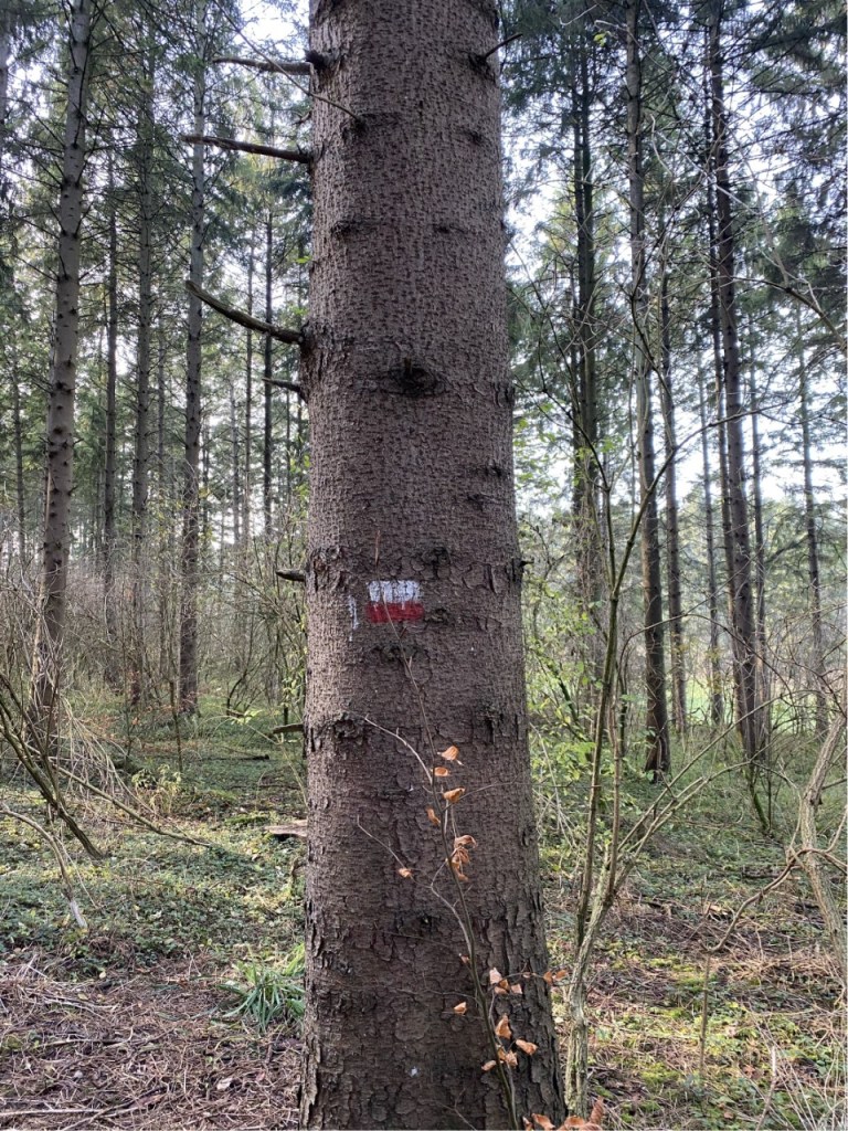 Deze afbeelding heeft een leeg alt-atribuut; de bestandsnaam is pelgrimpad-4.jpg